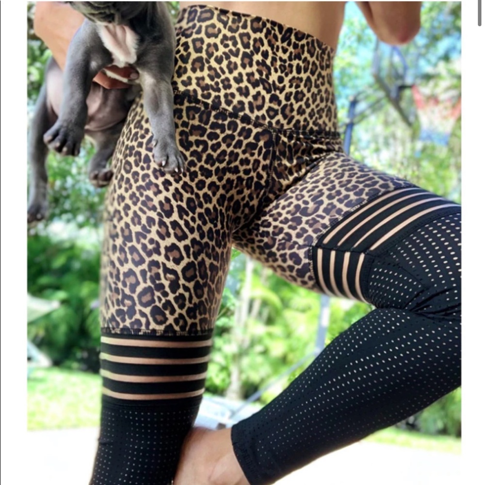 NWOT Leopard & Mesh Spandex Pants - Picture 3 of 9